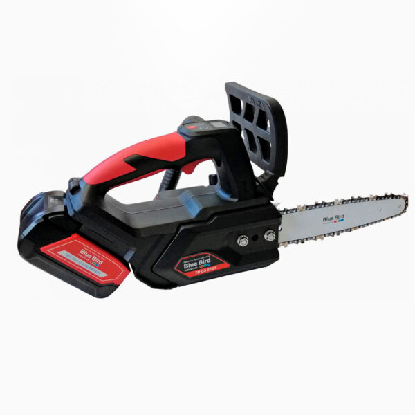 Blue Bird CS 22 07
